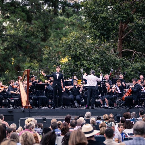 Mozart Under The Stars